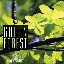 SpringAir Green Forest