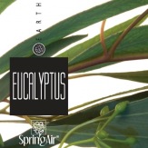 SpringAir Eucalyptus